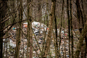 دپوی زباله در دل جنگلهای هیرکانی