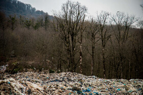 دپوی زباله در دل جنگلهای هیرکانی