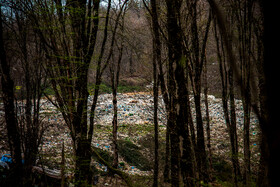 دپوی زباله موجب از بینرفتن جنگلها میشود و به تبع آن بسیاری از گونههای جانوری از بین میروند و اکوسیستم دچار آسیب جدی میشود.
