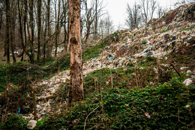 درختان اطراف محل دپو اغلب به علت آلودگی بسیارزیاد حاصل از نشت شیرابه خشک شده و از بین میروند.