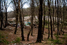 دپوی زباله در دل جنگلهای هیرکانی