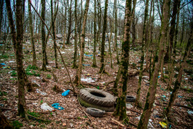 دپوی زباله در دل جنگلهای هیرکانی