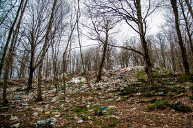 دپوی زباله در دل جنگلهای هیرکانی