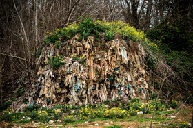 دپوی زباله در دل جنگلهای هیرکانی