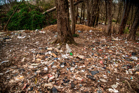 دپوی زباله در دل جنگلهای هیرکانی