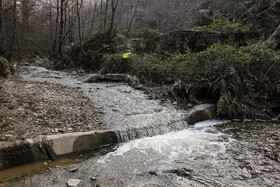 رودخانه زیارت با عبور از جنگل ناهارخوران، به گرگان می‌ریزد، مساحت حوضه آبریز رودخانه زیارت تا محل الحاق حدود ۱۴۰ کیلومتر مربع است.