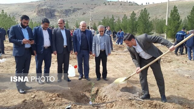 کاشت نهال در بام لرستان