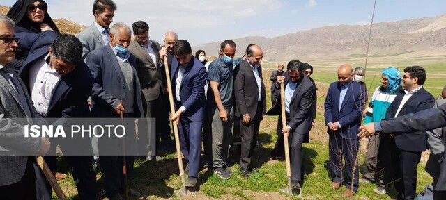 کاشت نهال در بام لرستان