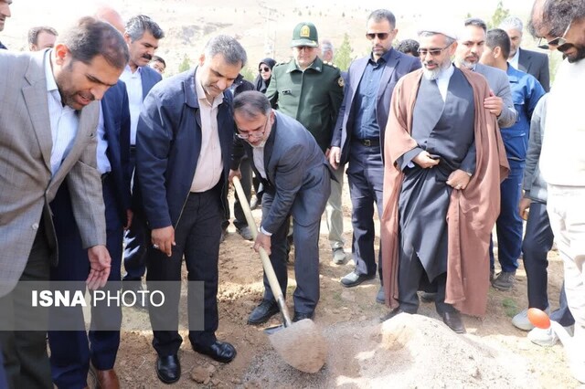 کاشت نهال در بام لرستان 