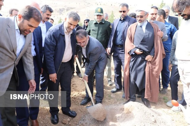 کاشت نهال در بام لرستان کاشت نهال در بام لرستان