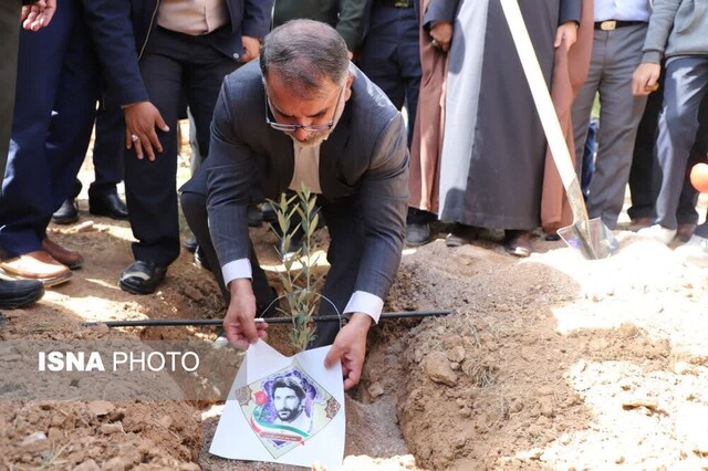 کاشت نهال در بام لرستان