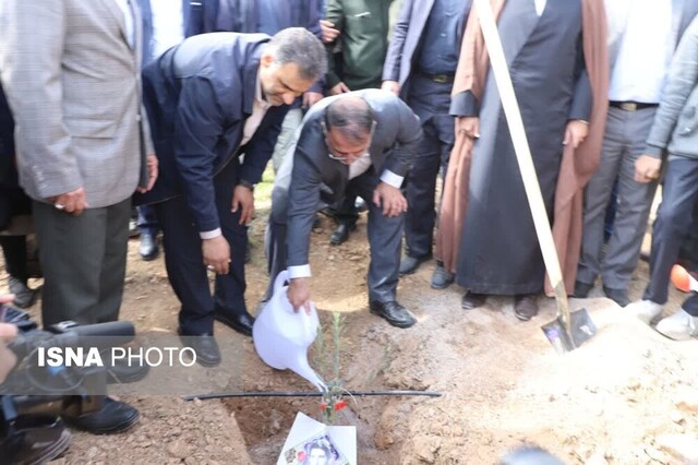 کاشت نهال در بام لرستان