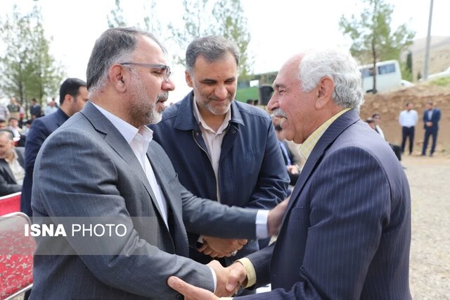 کاشت نهال در بام لرستان