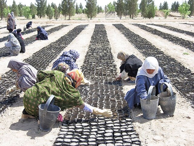 ایجاد اشتغال برای ۴۰۰ نفر در خراسان شمالی با اجرای پروژه ترسیب کربن