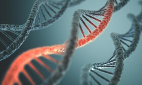 ژنتیک یا محیط؛ کدامیک آینده ما را تعیین می‌کند؟