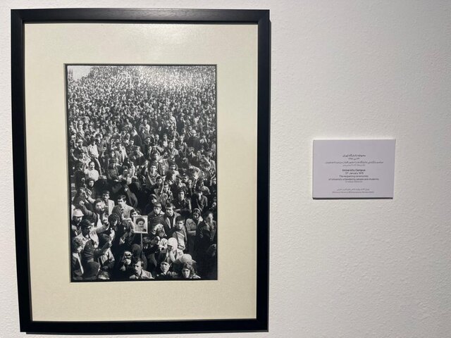 مرد قدم می زند، زن ایستاده و ماهی نارنجی در بالای حوض شنا می کند!