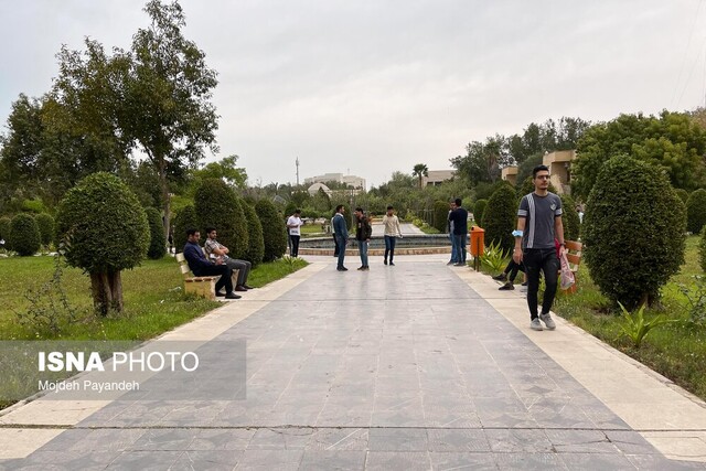 سامانه بارشی تا فردا در استان بوشهر ادامه دارد