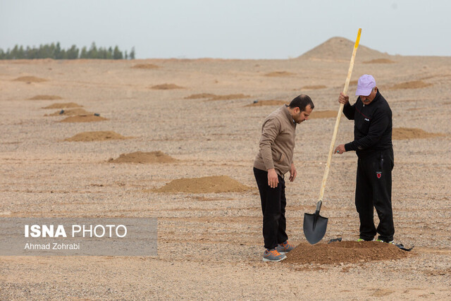 عکس تزئینی است. تلاش برای کاهش اراضی بیابانی تهران