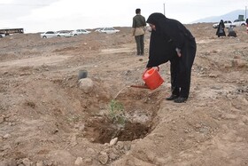 مشارکت مردم بهاباد در پویش «کاشت یک میلیارد درخت»/غرس ۵۰۰۰ نهال تا پایان امسال