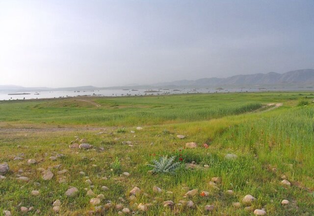 تالاب ارژن کشف چاههای غیرمجاز و بازداشت ۸ متخلف در ارژنِ فارس