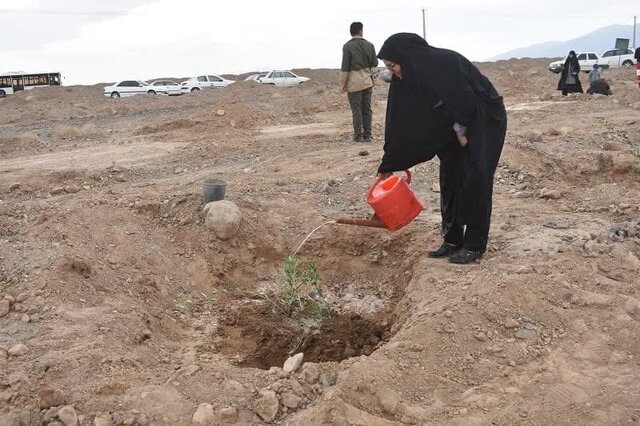 مشارکت مردم بهاباد در پویش «کاشت یک میلیارد درخت»/غرس ۵۰۰۰ نهال تا پایان امسال