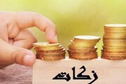 عشایر فارس ۸۰ درصد زکات دام را پرداخت کردند
