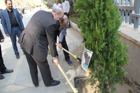 کاشت نهال به یاد شهدا و نخبگان آسمانی شریف