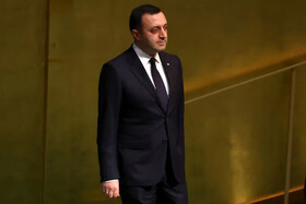 نخست‌وزیر گرجستان، زلنسکی را از مداخله در امور کشورش بر حذر داشت