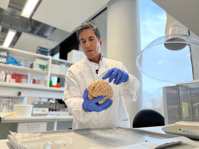 عکس تزیینی است آغاز فعالیت مرکز نوآوری مغز با حمایت معاونت علمی