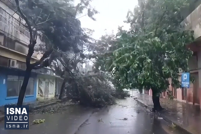 ویدیو/ بیش از صد کشته در «طوفان استوایی فرِدی»