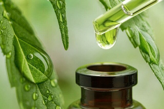 عکس تزئینی است تجهیز کشور به ۵ پالایشگاه گیاهان دارویی با ظرفیت دانشبنیانی