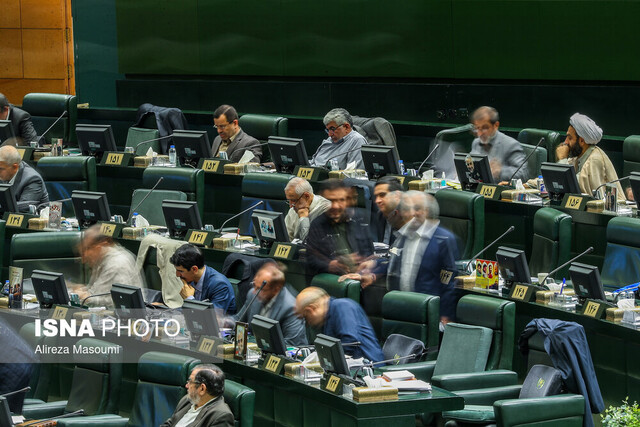 تشکیل سازمان بازرگانی دردی از مردم دوا نمیکند تشکیل سازمان بازرگانی دردی از مردم دوا نمیکند