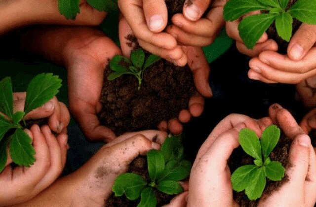 مشارکت نهالستان کرج در طرح کاشت یک میلیارد درخت