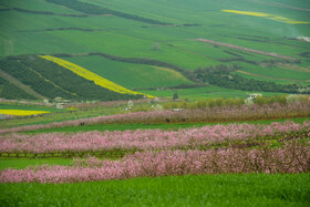 طبیعت بهاری روستاهای اطراف ساری