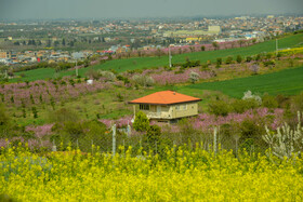 طبیعت بهاری روستاهای اطراف ساری