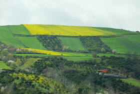 طبیعت بهاری روستاهای اطراف ساری