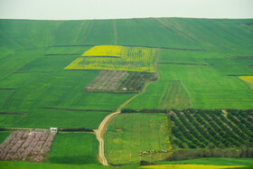 طبیعت بهاری روستاهای اطراف ساری