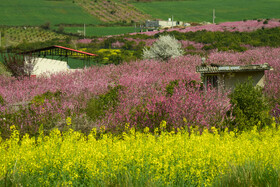 طبیعت بهاری روستاهای اطراف ساری