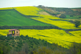 طبیعت بهاری روستاهای اطراف ساری