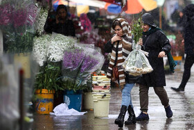 افتتاح فاز نخست بازار گل شادمان تا دهه فجر/ امکان دسترسی تولیدکنندگان ایرانی به بازار مصرف