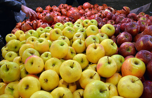 عکس تزیینی است. میوه را برای میانوعده دانشآموزان جدی بگیرید