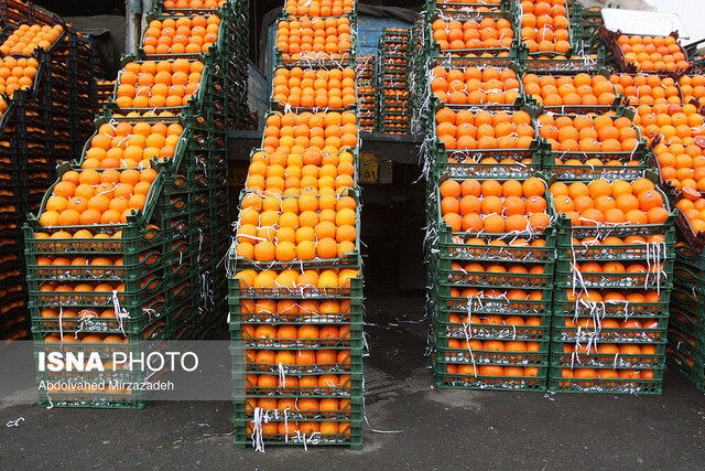 توزیع ۹۰۰ تن سیب و پرتقال در فارس