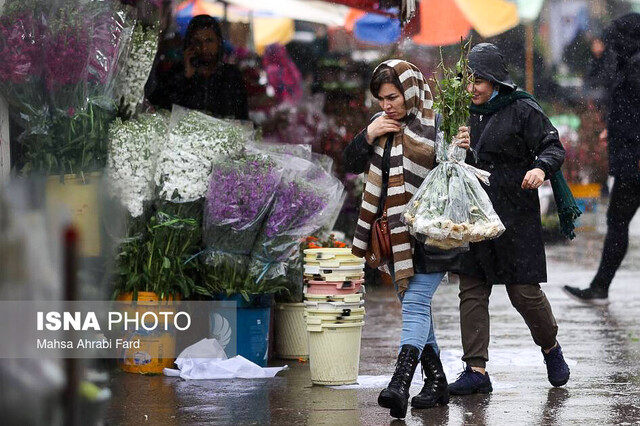 افتتاح فاز نخست بازار گل شادمان تا دهه فجر/ امکان دسترسی تولیدکنندگان ایرانی به بازار مصرف افتتاح فاز نخست بازار گل شادمان تا دهه فجر/ امکان دسترسی تولیدکنندگان ایرانی به بازار مصرف
