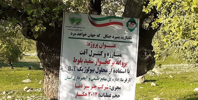 مبارزه و کنترل آفت پروانه برگخوار سفید بلوط جنگلهای باشت آغاز شد