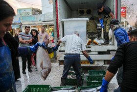 بازار ماهی شب عید در مشهد