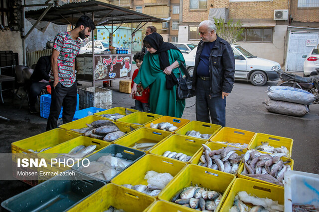 برگزاری دومین جشنواره طبخ ماهی قزل‌آلا در ماهنشان