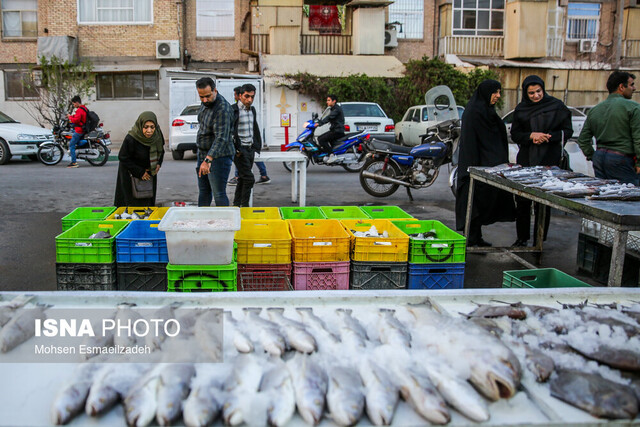 جای خالی آبزیان در سبد غذایی مردم/ از تولیدکنندگان ماهی حمایت شود