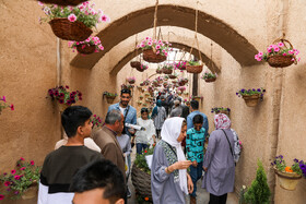 یزد زیر پای مسافران نوروزی