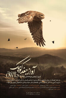 پخش مستند تحسین شده ایرانی امشب از تلویزیون