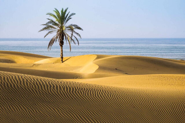 ورود بیش از ۵۰۰ هزار گردشگر و مسافر نوروزی به چابهار